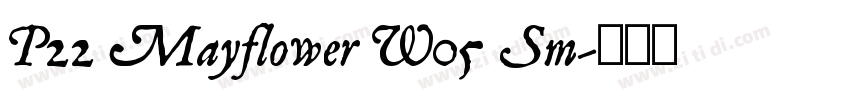 P22 Mayflower W05 Sm字体转换